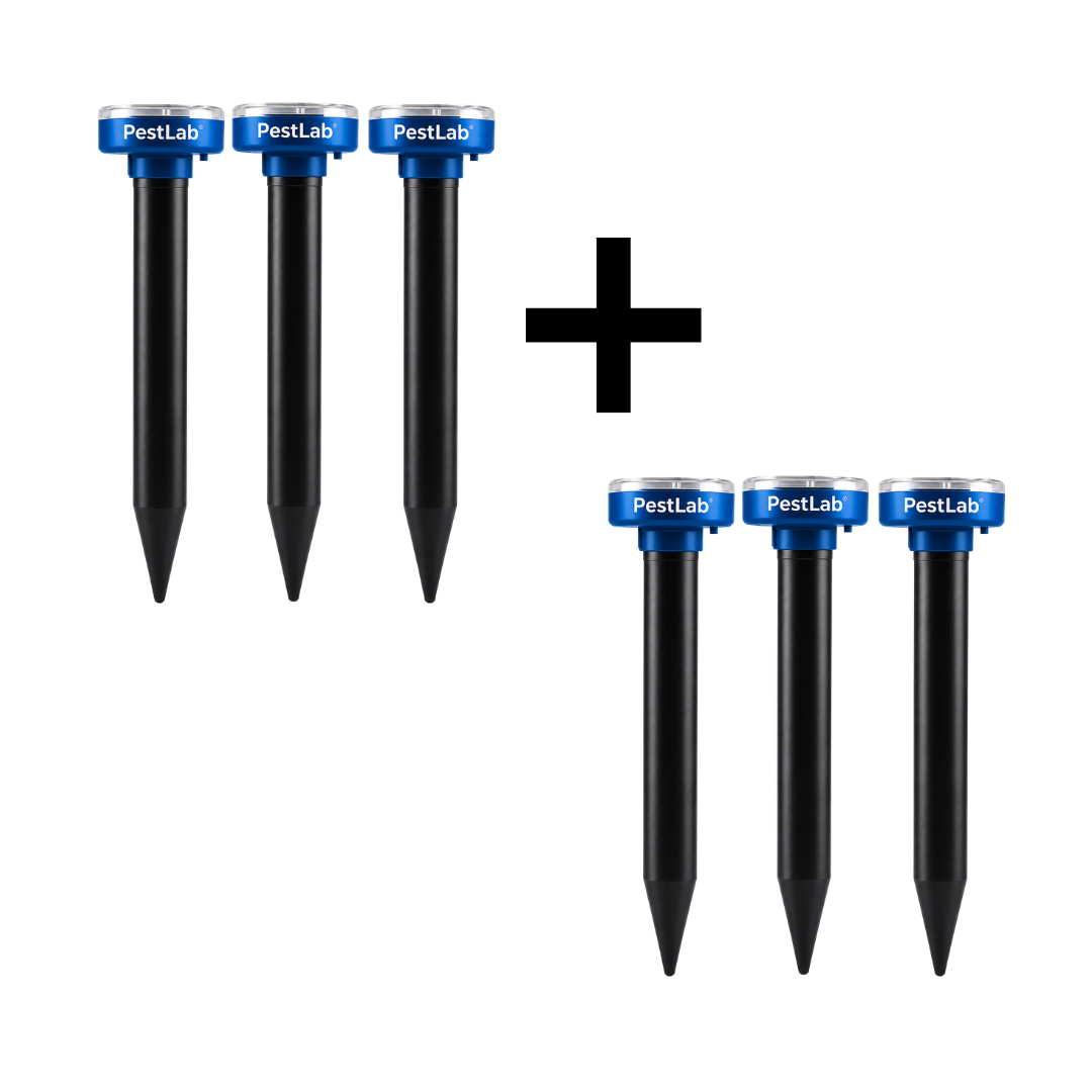 PestLab